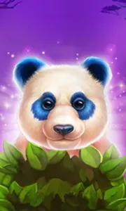 Luck of Panda: Bonus Combo