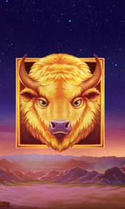 Buffalo's Sun 2
